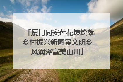 厦门同安莲花镇绘就乡村振兴新图景文明乡风润泽富美山川