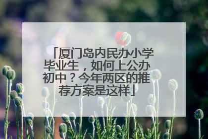 厦门岛内民办小学毕业生，如何上公办初中？今年两区的推荐方案是这样