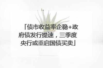 债市收益率企稳+政府债发行提速，三季度央行或重启国债买卖