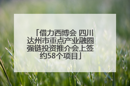 借力西博会 四川达州市重点产业融圈强链投资推介会上签约58个项目