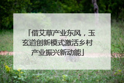 借艾草产业东风，玉玄道创新模式激活乡村产业振兴新动能