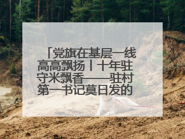党旗在基层一线高高飘扬丨十年驻守米飘香——驻村第一书记莫日发的乡村印记