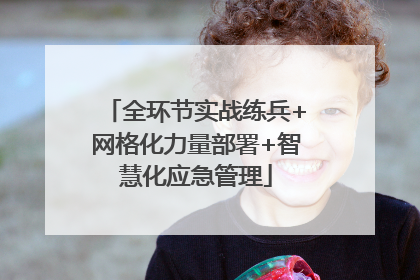 全环节实战练兵+网格化力量部署+智慧化应急管理