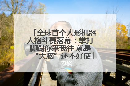 全球首个人形机器人格斗赛落幕：拳打脚踢你来我往 就是“大脑”还不好使
