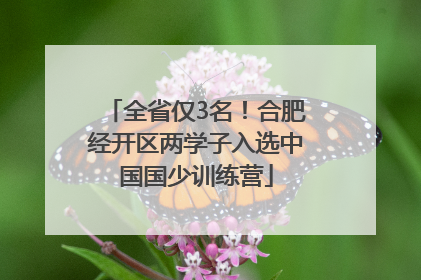 全省仅3名！合肥经开区两学子入选中国国少训练营