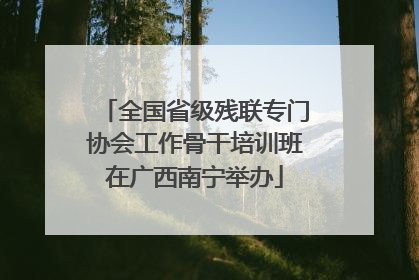 全国省级残联专门协会工作骨干培训班在广西南宁举办