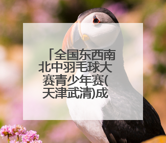 全国东西南北中羽毛球大赛青少年赛(天津武清)成功举办