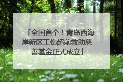 全国首个！青岛西海岸新区工伤超前救助慈善基金正式成立