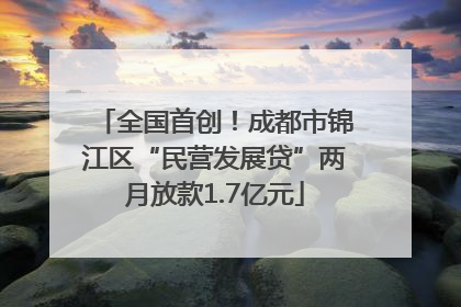 全国首创！成都市锦江区“民营发展贷”两月放款1.7亿元