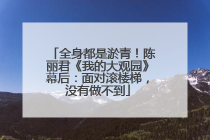 全身都是淤青！陈丽君《我的大观园》幕后：面对滚楼梯，没有做不到