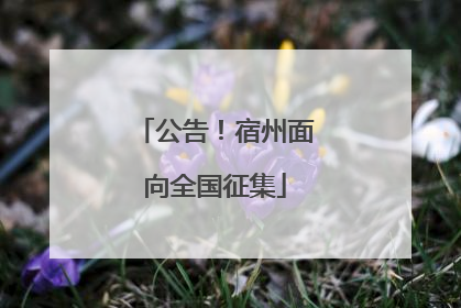 公告！宿州面向全国征集