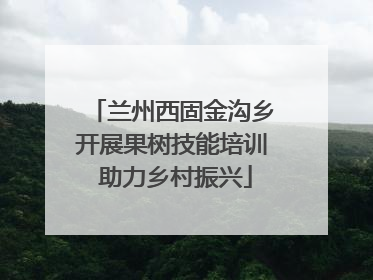 兰州西固金沟乡开展果树技能培训 助力乡村振兴