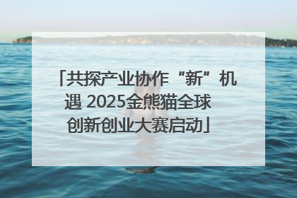 共探产业协作“新”机遇 2025金熊猫全球创新创业大赛启动