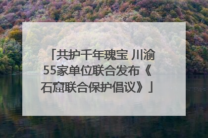共护千年瑰宝 川渝55家单位联合发布《石窟联合保护倡议》