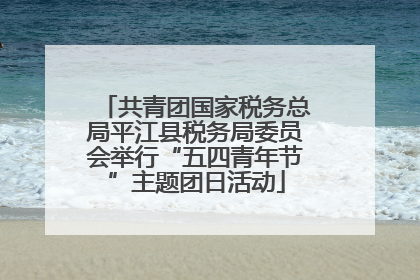 共青团国家税务总局平江县税务局委员会举行“五四青年节”主题团日活动