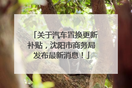 关于汽车置换更新补贴，沈阳市商务局发布最新消息！
