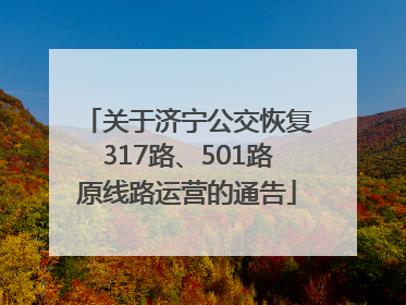 关于济宁公交恢复317路、501路原线路运营的通告