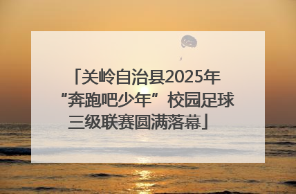 关岭自治县2025年“奔跑吧少年”校园足球三级联赛圆满落幕
