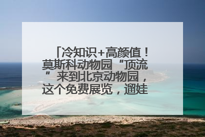 冷知识+高颜值！莫斯科动物园“顶流”来到北京动物园，这个免费展览，遛娃拍照两不误！