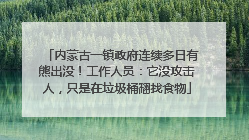 内蒙古一镇政府连续多日有熊出没！工作人员：它没攻击人，只是在垃圾桶翻找食物
