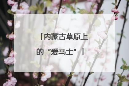 内蒙古草原上的“爱马士”
