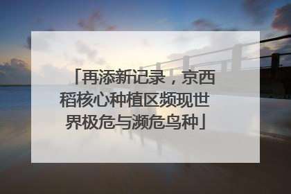 再添新记录，京西稻核心种植区频现世界极危与濒危鸟种