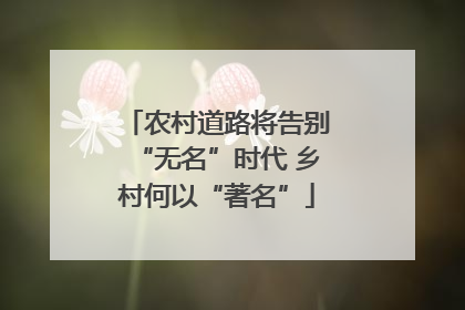 农村道路将告别“无名”时代 乡村何以“著名”