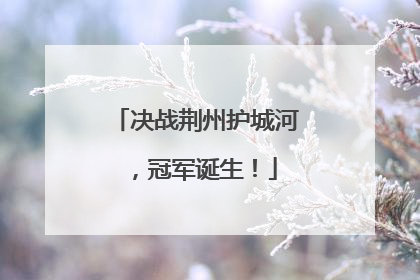 决战荆州护城河，冠军诞生！