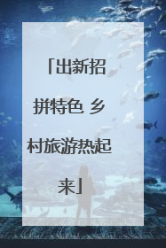 出新招 拼特色 乡村旅游热起来