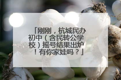 刚刚，杭城民办初中（含民转公学校）摇号结果出炉！有你家娃吗？