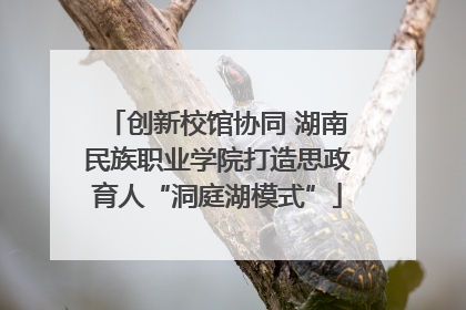 创新校馆协同 湖南民族职业学院打造思政育人“洞庭湖模式”