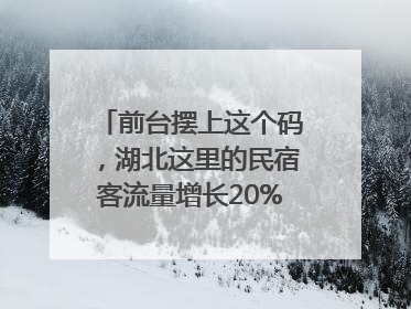 前台摆上这个码，湖北这里的民宿客流量增长20%｜湖北市场监管所的故事
