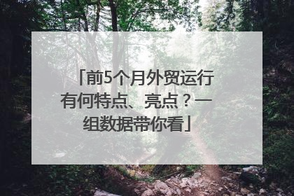 前5个月外贸运行有何特点、亮点？一组数据带你看