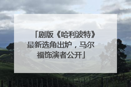 剧版《哈利波特》最新选角出炉，马尔福饰演者公开