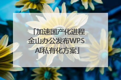 加速国产化进程 金山办公发布WPS AI私有化方案