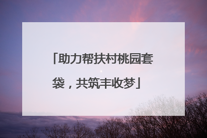助力帮扶村桃园套袋，共筑丰收梦