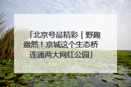 北京号最精彩｜野趣盎然！京城这个生态桥连通两大网红公园