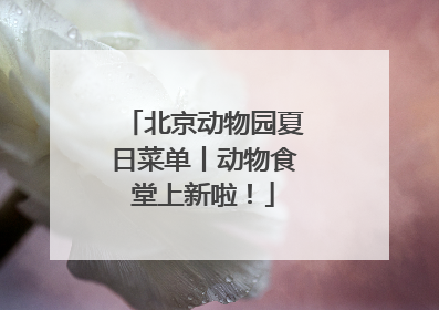 北京动物园夏日菜单丨动物食堂上新啦！