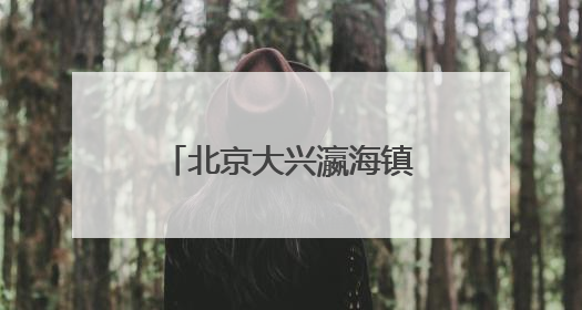 北京大兴瀛海镇“瀛”麦相承小麦丰收开镰 奏响农文旅融合新乐章