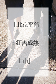 北京平谷：红杏成熟上市