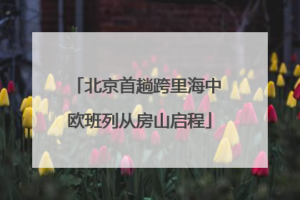 北京首趟跨里海中欧班列从房山启程