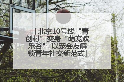 北京10号线“青创村”变身“萌宠欢乐谷” 以宠会友解锁青年社交新范式