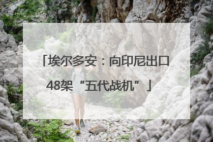埃尔多安：向印尼出口48架“五代战机”