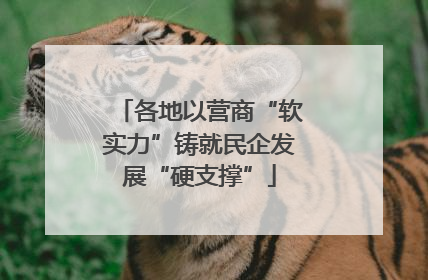 各地以营商“软实力”铸就民企发展“硬支撑”