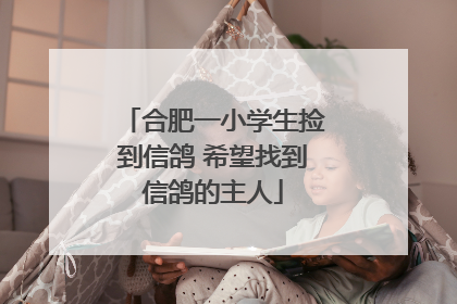 合肥一小学生捡到信鸽 希望找到信鸽的主人