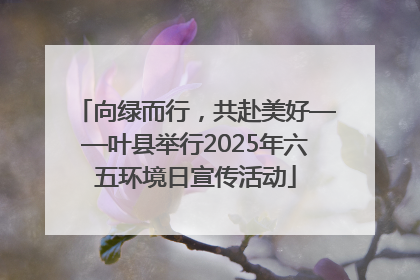 向绿而行，共赴美好——叶县举行2025年六五环境日宣传活动