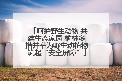 呵护野生动物 共建生态家园 榆林多措并举为野生动植物筑起“安全屏障”