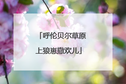 呼伦贝尔草原上狼崽撒欢儿