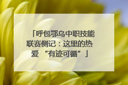 呼包鄂乌中职技能联赛侧记：这里的热爱 “有迹可循”