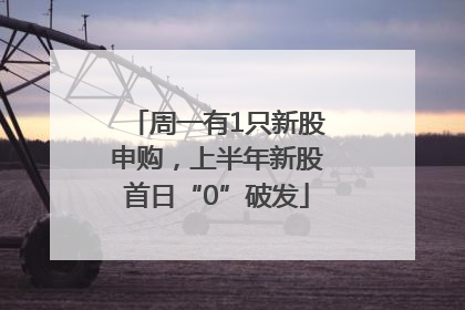 周一有1只新股申购，上半年新股首日“0”破发
